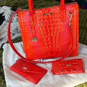 Brahmin Caroline Fiery color Flame Croc Embossed Satchel Set